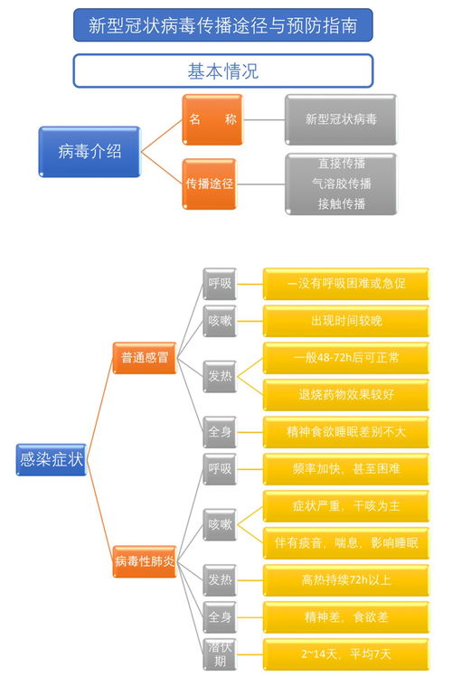 一图读懂新型冠状病毒传播途径与预防指南